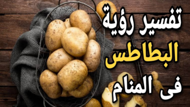 البطاطس في المنام