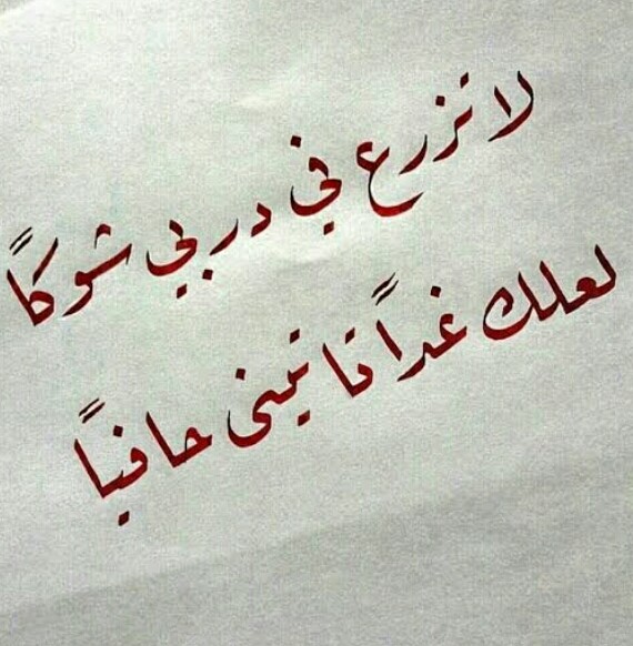 حكم و اقوال