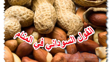 الفول السوداني في المنام