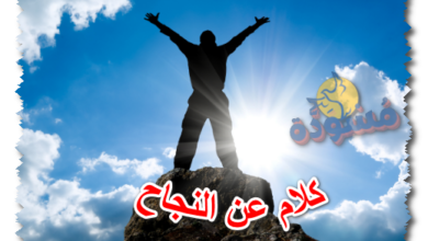 كلام عن النجاح