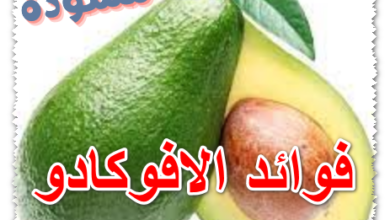 فوائد الافوكادو