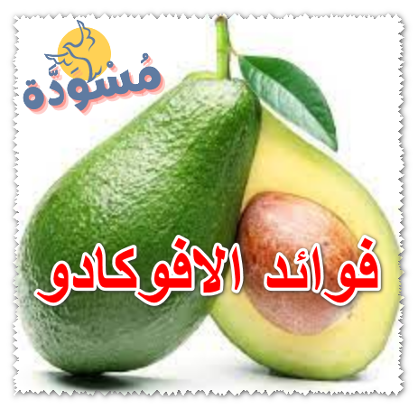 فوائد الافوكادو