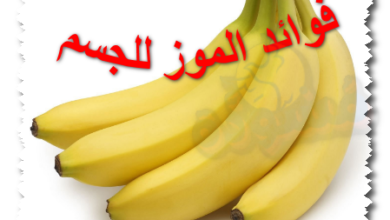 فوائد الموز للجسم