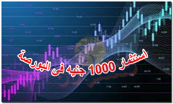 استثمار 1000 جنيه فى البورصة