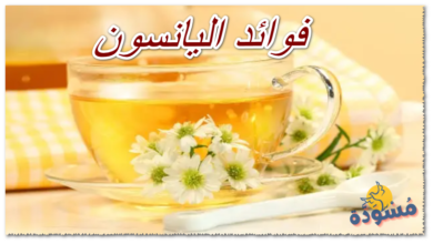 فوائد اليانسون