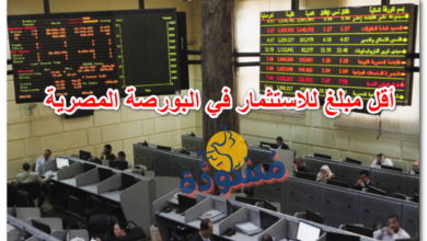 أقل مبلغ للاستثمار في البورصة المصرية