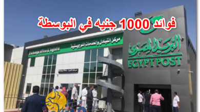 فوائد 1000 جنيه في البوسطة